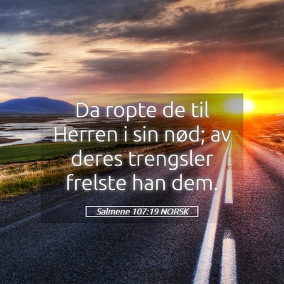 Picture 05 - Salmene 107:19 NORSK - Da ropte de til Herren i sin nød; av deres - Bible Verse Picture