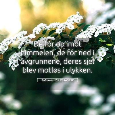 Picture 05 - Salmene 107:26 NORSK - De fór op imot himmelen, de fór ned i - Bible Verse Picture