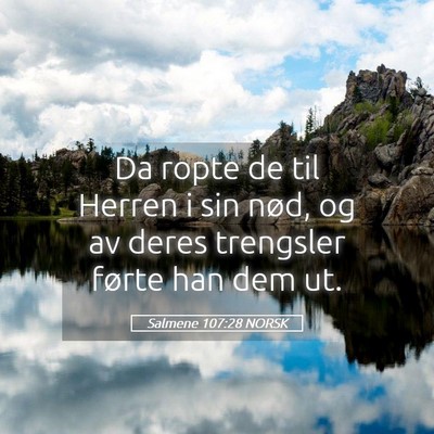 Picture 05 - Salmene 107:28 NORSK - Da ropte de til Herren i sin nød, og av deres - Bible Verse Picture