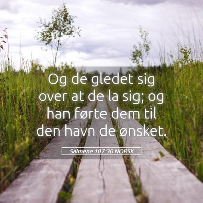 Picture 05 - Salmene 107:30 NORSK - Og de gledet sig over at de la sig; og han førte - Bible Verse Picture