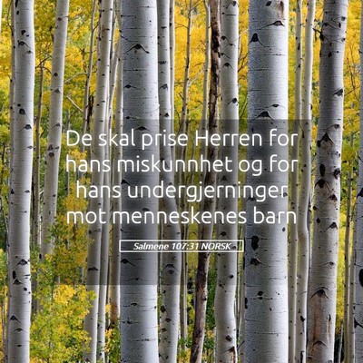 Picture 05 - Salmene 107:31 NORSK - De skal prise Herren for hans miskunnhet og for - Bible Verse Picture