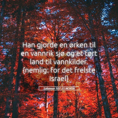 Picture 05 - Salmene 107:35 NORSK - Han gjorde en ørken til en vannrik sjø og et - Bible Verse Picture