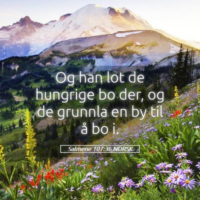 Picture 05 - Salmene 107:36 NORSK - Og han lot de hungrige bo der, og de grunnla en - Bible Verse Picture