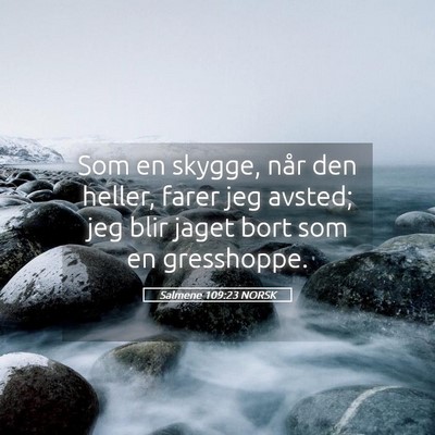 Picture 05 - Salmene 109:23 NORSK - Som en skygge, når den heller, farer jeg avsted; - Bible Verse Picture