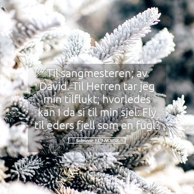 Picture 05 - Salmene 11:1 NORSK - Til sangmesteren; av David. Til Herren tar jeg - Bible Verse Picture
