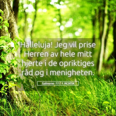 Picture 05 - Salmene 111:1 NORSK - Halleluja! Jeg vil prise Herren av hele mitt - Bible Verse Picture