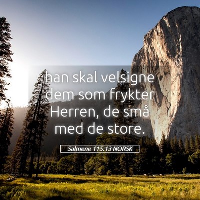 Picture 05 - Salmene 115:13 NORSK - han skal velsigne dem som frykter Herren, de små - Bible Verse Picture
