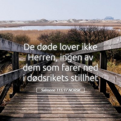 Picture 05 - Salmene 115:17 NORSK - De døde lover ikke Herren, ingen av dem som - Bible Verse Picture