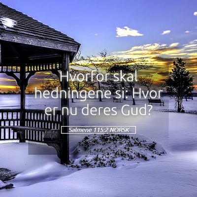 Picture 05 - Salmene 115:2 NORSK - Hvorfor skal hedningene si: Hvor er nu deres - Bible Verse Picture