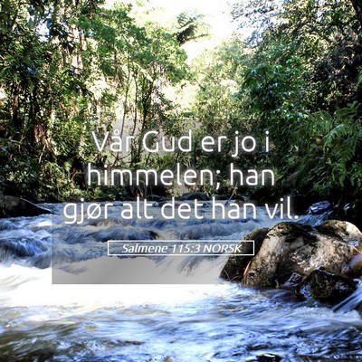Picture 05 - Salmene 115:3 NORSK - Vår Gud er jo i himmelen; han gjør alt det han - Bible Verse Picture