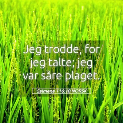 Picture 05 - Salmene 116:10 NORSK - Jeg trodde, for jeg talte; jeg var såre - Bible Verse Picture