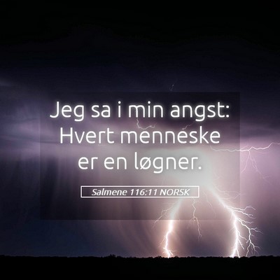 Picture 05 - Salmene 116:11 NORSK - Jeg sa i min angst: Hvert menneske er en - Bible Verse Picture