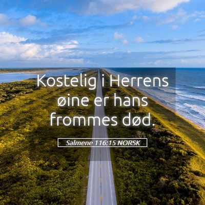 Picture 05 - Salmene 116:15 NORSK - Kostelig i Herrens øine er hans frommes - Bible Verse Picture