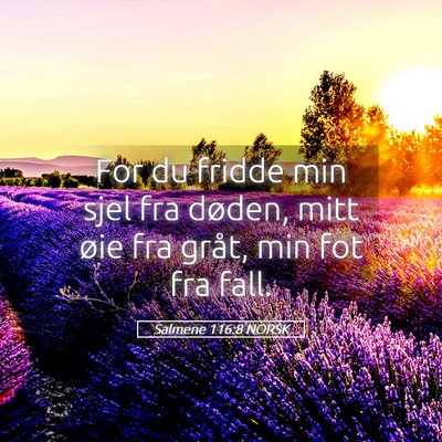 Picture 05 - Salmene 116:8 NORSK - For du fridde min sjel fra døden, mitt øie fra - Bible Verse Picture