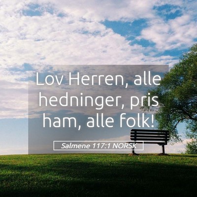 Picture 05 - Salmene 117:1 NORSK - Lov Herren, alle hedninger, pris ham, alle - Bible Verse Picture