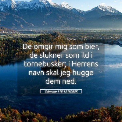 Picture 05 - Salmene 118:12 NORSK - De omgir mig som bier, de slukner som ild i - Bible Verse Picture