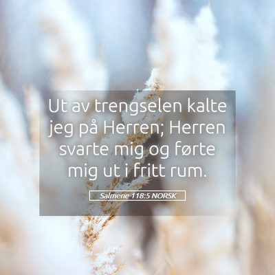 Picture 05 - Salmene 118:5 NORSK - Ut av trengselen kalte jeg på Herren; Herren - Bible Verse Picture