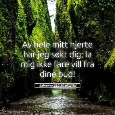 Picture 05 - Salmene 119:10 NORSK - Av hele mitt hjerte har jeg søkt dig; la mig - Bible Verse Picture