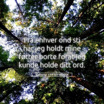 Picture 05 - Salmene 119:101 NORSK - Fra enhver ond sti har jeg holdt mine føtter - Bible Verse Picture