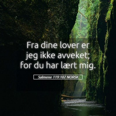 Picture 05 - Salmene 119:102 NORSK - Fra dine lover er jeg ikke avveket; for du har - Bible Verse Picture