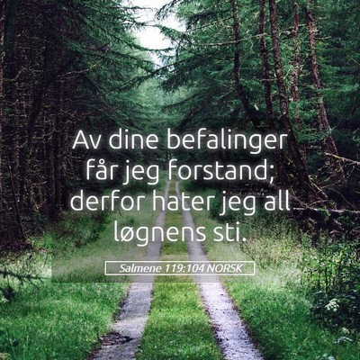 Picture 05 - Salmene 119:104 NORSK - Av dine befalinger får jeg forstand; derfor - Bible Verse Picture