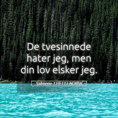 Picture 05 - Salmene 119:113 NORSK - De tvesinnede hater jeg, men din lov elsker - Bible Verse Picture