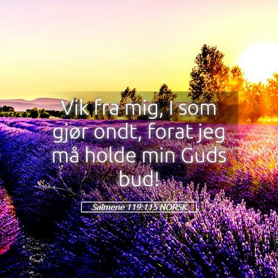 Picture 05 - Salmene 119:115 NORSK - Vik fra mig, I som gjør ondt, forat jeg må - Bible Verse Picture
