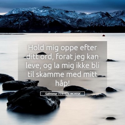 Picture 05 - Salmene 119:116 NORSK - Hold mig oppe efter ditt ord, forat jeg kan leve, - Bible Verse Picture