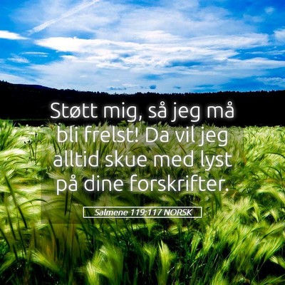 Picture 05 - Salmene 119:117 NORSK - Støtt mig, så jeg må bli frelst! Da vil jeg - Bible Verse Picture