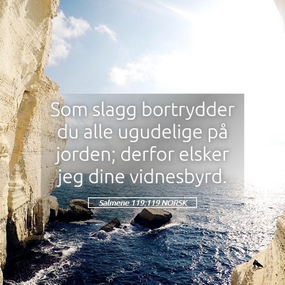 Picture 05 - Salmene 119:119 NORSK - Som slagg bortrydder du alle ugudelige på - Bible Verse Picture