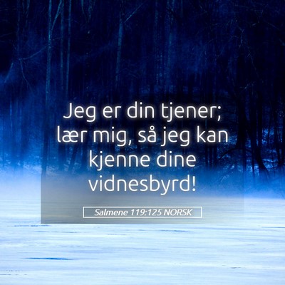 Picture 05 - Salmene 119:125 NORSK - Jeg er din tjener; lær mig, så jeg kan kjenne - Bible Verse Picture