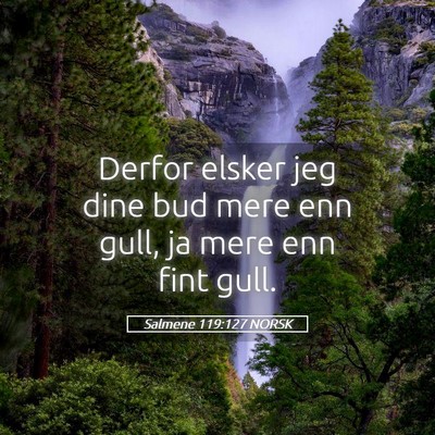 Picture 05 - Salmene 119:127 NORSK - Derfor elsker jeg dine bud mere enn gull, ja mere - Bible Verse Picture