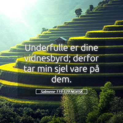 Picture 05 - Salmene 119:129 NORSK - Underfulle er dine vidnesbyrd; derfor tar min - Bible Verse Picture