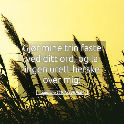 Picture 05 - Salmene 119:133 NORSK - Gjør mine trin faste ved ditt ord, og la ingen - Bible Verse Picture