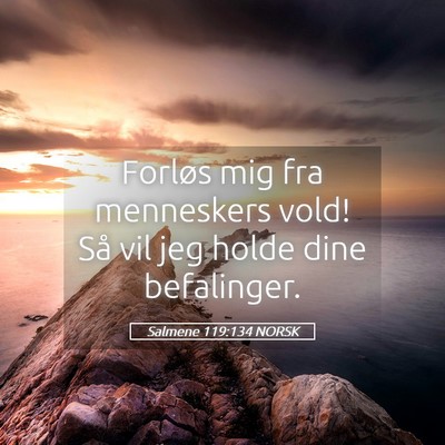 Picture 05 - Salmene 119:134 NORSK - Forløs mig fra menneskers vold! Så vil jeg - Bible Verse Picture