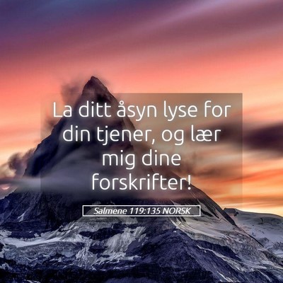 Picture 05 - Salmene 119:135 NORSK - La ditt åsyn lyse for din tjener, og lær mig - Bible Verse Picture