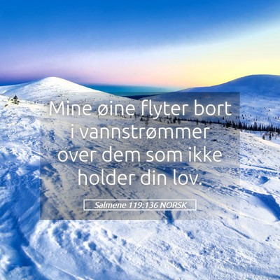 Picture 05 - Salmene 119:136 NORSK - Mine øine flyter bort i vannstrømmer over dem - Bible Verse Picture