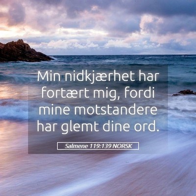 Picture 05 - Salmene 119:139 NORSK - Min nidkjærhet har fortært mig, fordi mine - Bible Verse Picture