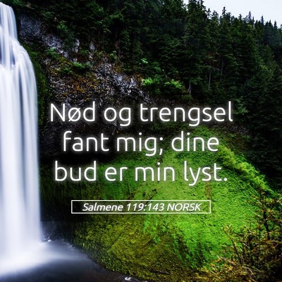 Picture 05 - Salmene 119:143 NORSK - Nød og trengsel fant mig; dine bud er min - Bible Verse Picture