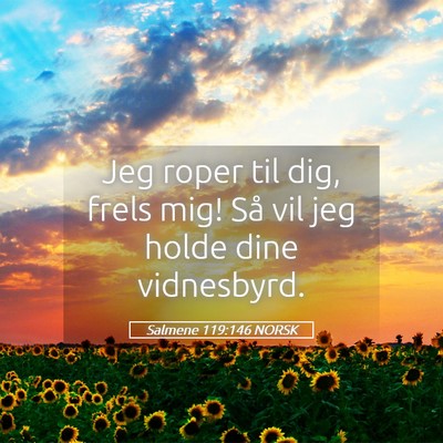 Picture 05 - Salmene 119:146 NORSK - Jeg roper til dig, frels mig! Så vil jeg holde - Bible Verse Picture