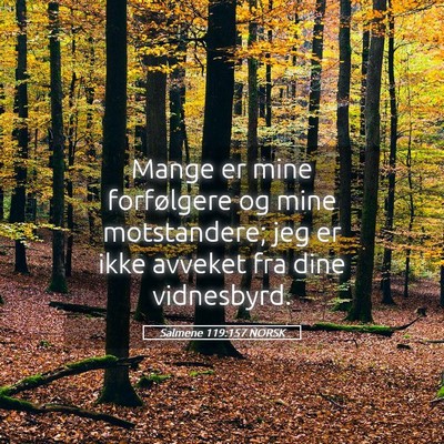 Picture 05 - Salmene 119:157 NORSK - Mange er mine forfølgere og mine motstandere; - Bible Verse Picture