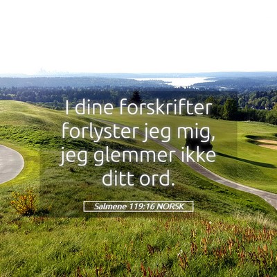 Picture 05 - Salmene 119:16 NORSK - I dine forskrifter forlyster jeg mig, jeg glemmer - Bible Verse Picture