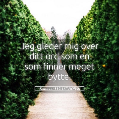 Picture 05 - Salmene 119:162 NORSK - Jeg gleder mig over ditt ord som en som finner - Bible Verse Picture