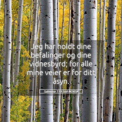 Picture 05 - Salmene 119:168 NORSK - Jeg har holdt dine befalinger og dine vidnesbyrd; - Bible Verse Picture
