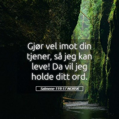 Picture 05 - Salmene 119:17 NORSK - Gjør vel imot din tjener, så jeg kan leve! Da - Bible Verse Picture