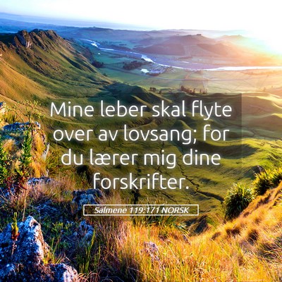 Picture 05 - Salmene 119:171 NORSK - Mine leber skal flyte over av lovsang; for du - Bible Verse Picture