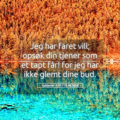 Picture 05 - Salmene 119:176 NORSK - Jeg har faret vill; opsøk din tjener som et tapt - Bible Verse Picture