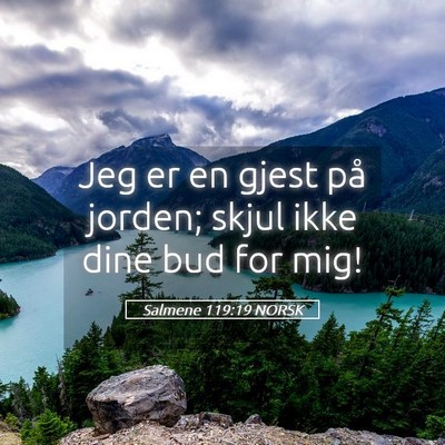 Picture 05 - Salmene 119:19 NORSK - Jeg er en gjest på jorden; skjul ikke dine bud - Bible Verse Picture