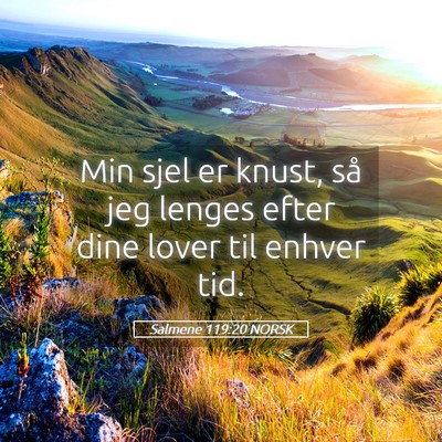 Picture 05 - Salmene 119:20 NORSK - Min sjel er knust, så jeg lenges efter dine - Bible Verse Picture