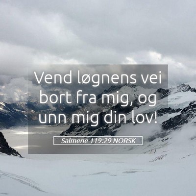 Picture 05 - Salmene 119:29 NORSK - Vend løgnens vei bort fra mig, og unn mig din - Bible Verse Picture